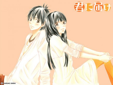 Kimi ni Todoke
