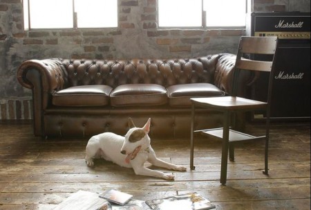 beck_movie beck_movie