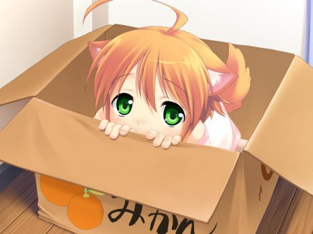 Mikan box